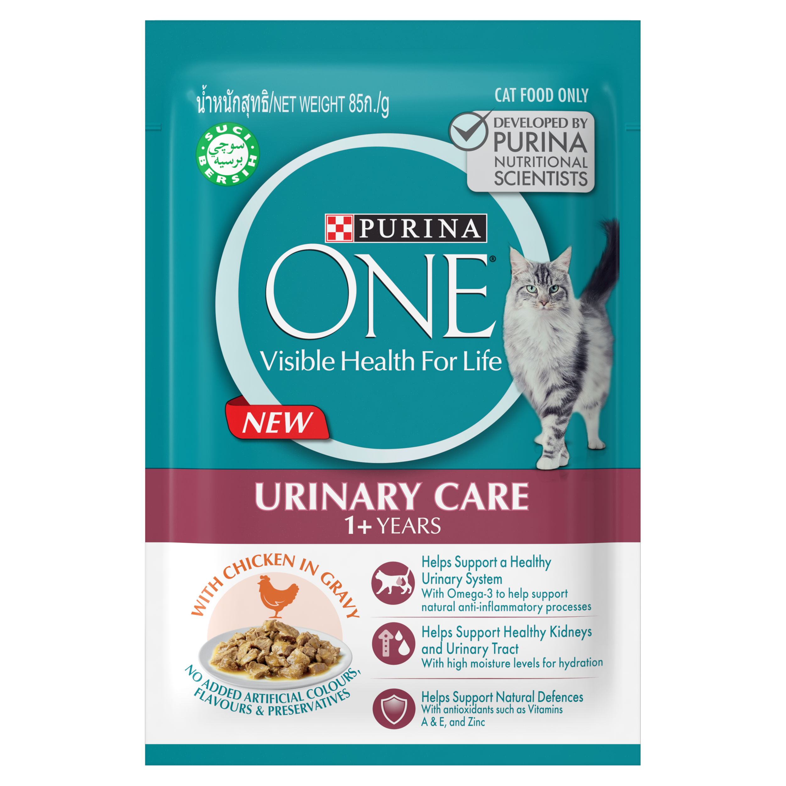 PURINA ONE Adult Urinary Care with Chicken Wet Cat Food Purina